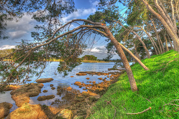 istock pine trees over the water in Lake Calik 472393636
