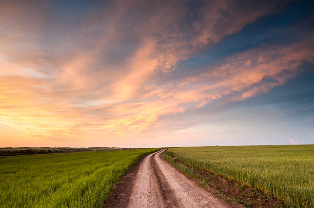 istock Horizontal shot of a beautiful sunset over Ukrainian fields 472393894