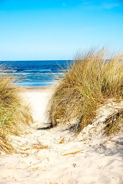 Dune at the baltic sea
