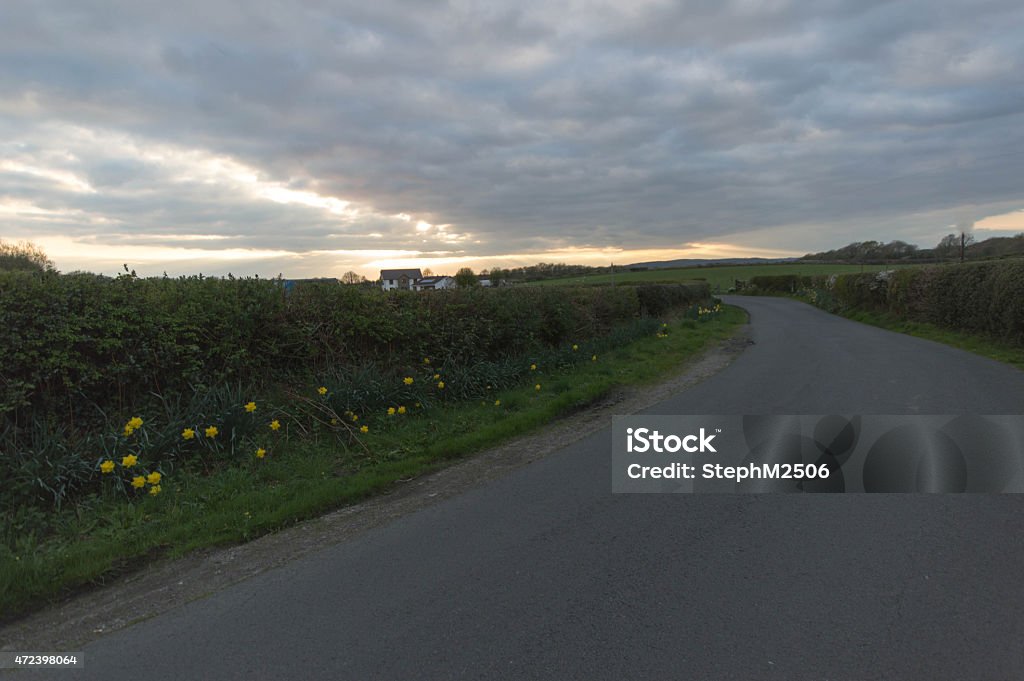 Remote country lane through fields at evening after sunset. Remote country lane through fields at evening after sunset, with green scenery. Taken in South Wales, UK. 2015 Stock Photo