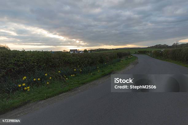 Remote Country Lane Through Fields At Evening After Sunset Stock Photo - Download Image Now