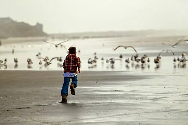 Photo of Boy runs toward seagulls.