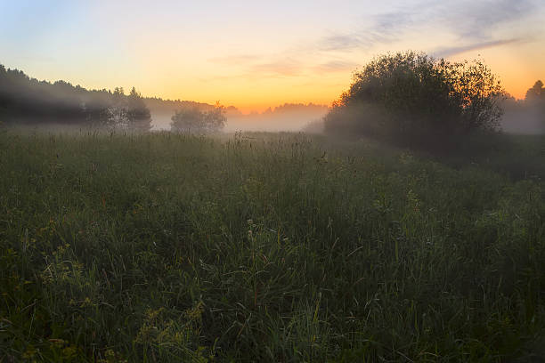 istock Misty sunset over the meadow in the summer 472402724