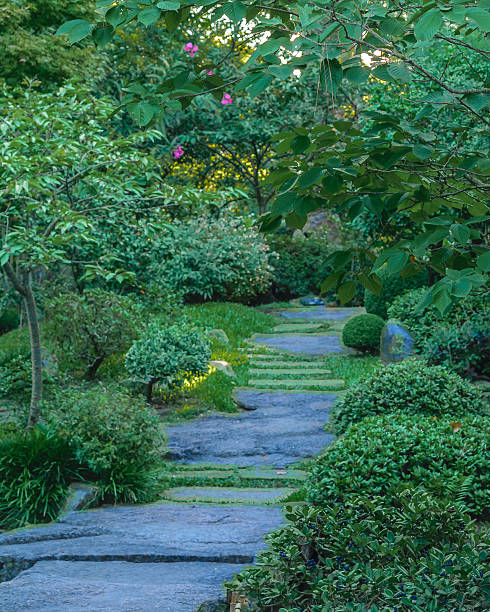 istock Montevideo Japanese Garden 472403134