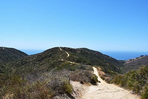 istock Crystal Cove State Park Hiking Trails 472405540