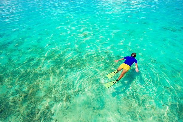 istock Young man snorkeling in clear tropical turquoise waters 472407850