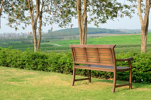 Wood chair in the park.