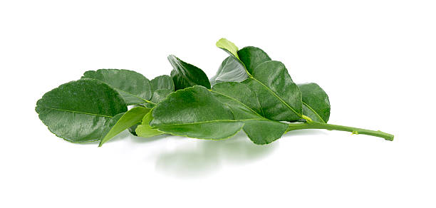 istock Kaffir lime with leaves on white background 472413802