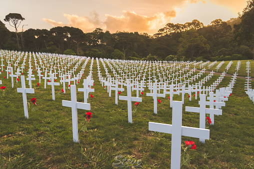 Graves of Anzac Soldiers