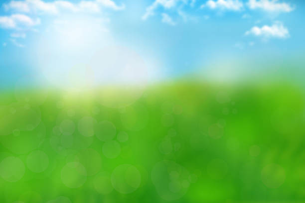 istock bokeh nature background with green grass and blue heaven 472419198