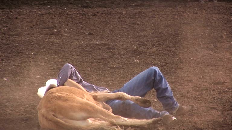 Steer wrestler