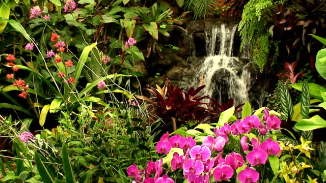 Waterfall in Orchid garden