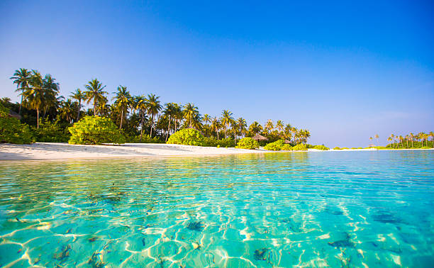 istock Perfect white beach with turquoise water at ideal island 472463286