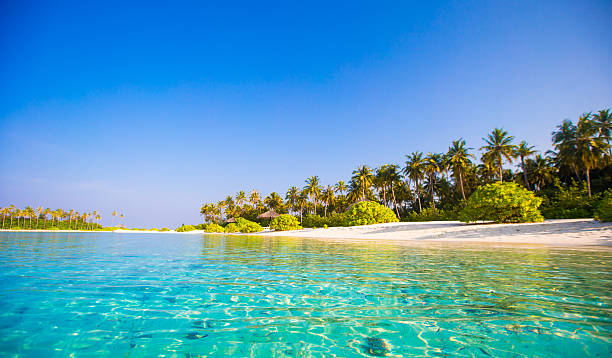 istock Perfect white beach with turquoise water at ideal island 472463290