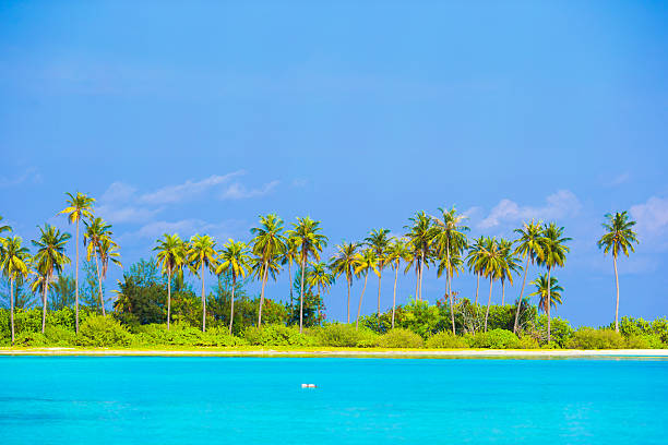 istock Perfect island with white beach, turquoise water and green palms 472463302