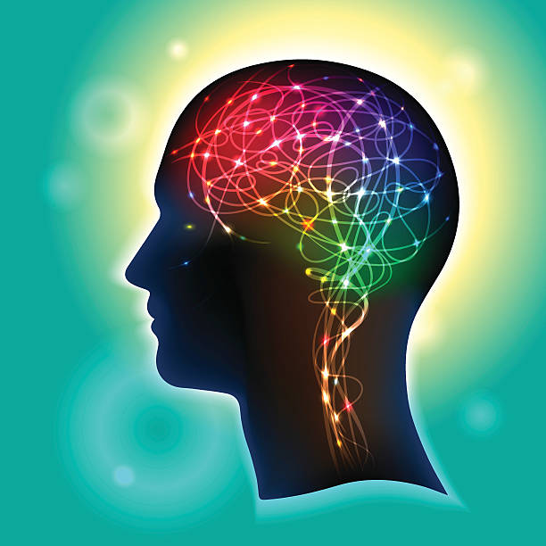 Neurons in the Brain Profile of a human head with a colorful symbol of neurons in the brain neurotransmitter stock illustrations