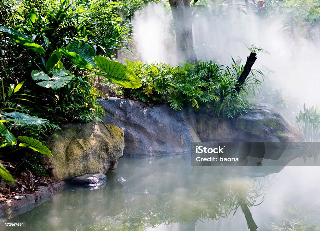 chinese garden chinese garden with pond. 2015 Stock Photo