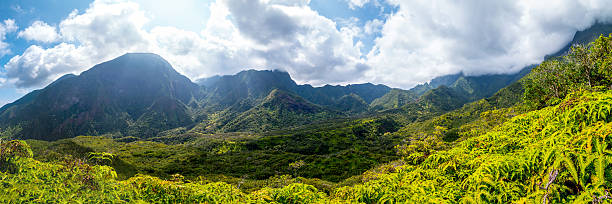 istock Iao Valley on Maui, Hawaii 472468380