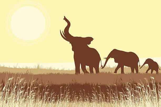Vector illustration of African Elephants in savanna