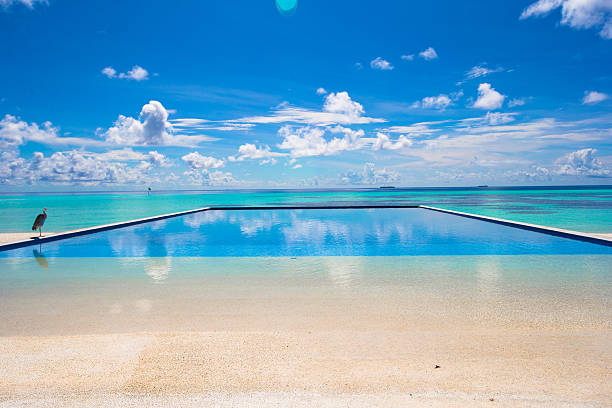 istock Luxury infinity swimming pool in the tropical hotel 472475598