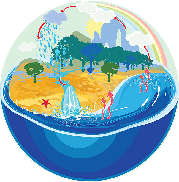 stockillustraties, clipart, cartoons en iconen met illustration of the earth's water life cycle - waterkringloop