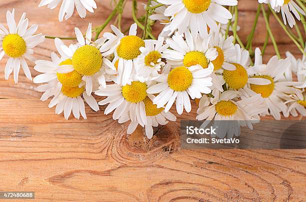 The Beautiful Daisy On Wooden Background Stock Photo - Download Image Now - 2015, Backgrounds, Beauty In Nature
