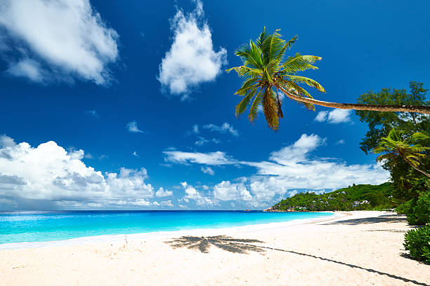 istock Beautiful Anse Intendance beach at Seychelles 472481768