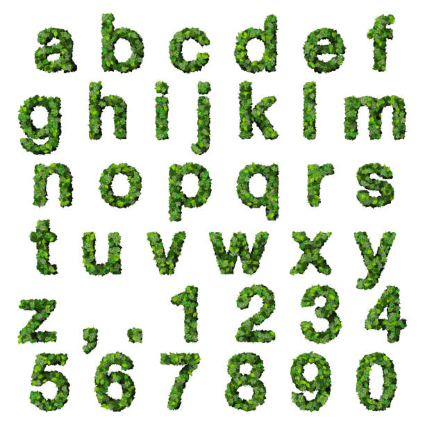 istock Alphabet with numbers made from green leaves 472485076