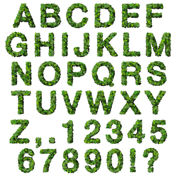 Alphabet with numbers made from green leaves