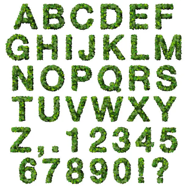 Photo of Alphabet with numbers made from green leaves