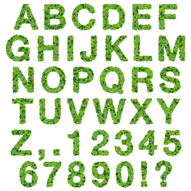 istock Alphabet with numbers made from green leaves 472485090
