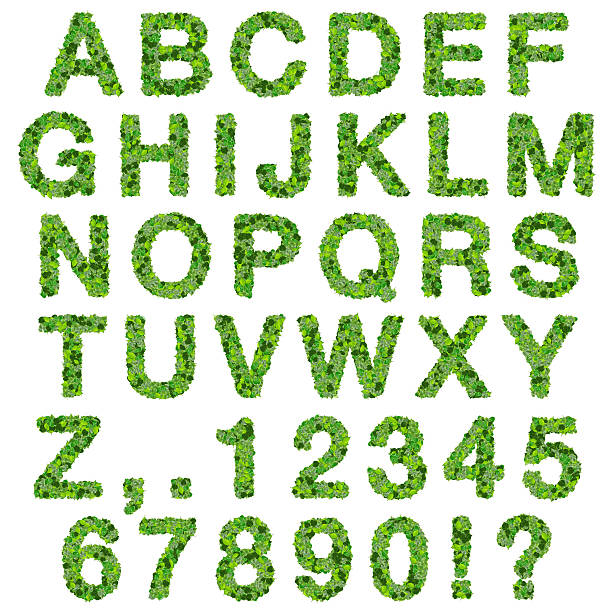 Alphabet with numbers made from green leaves stock photo