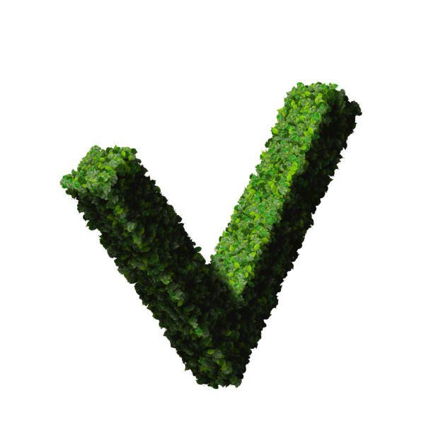 istock Approved, ok, like, eco sign made from green leaves 472485094