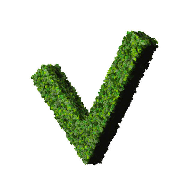 istock Approved, ok, like, eco sign made from green leaves 472485098