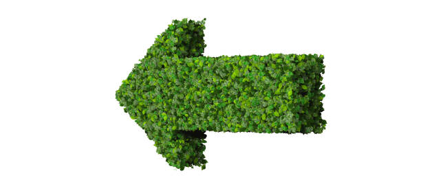istock Arrow made from green leaves 472486734