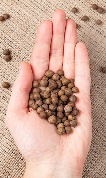 istock Allspice pepper aroma spice seeds in unrecognizable man's hand 472486964
