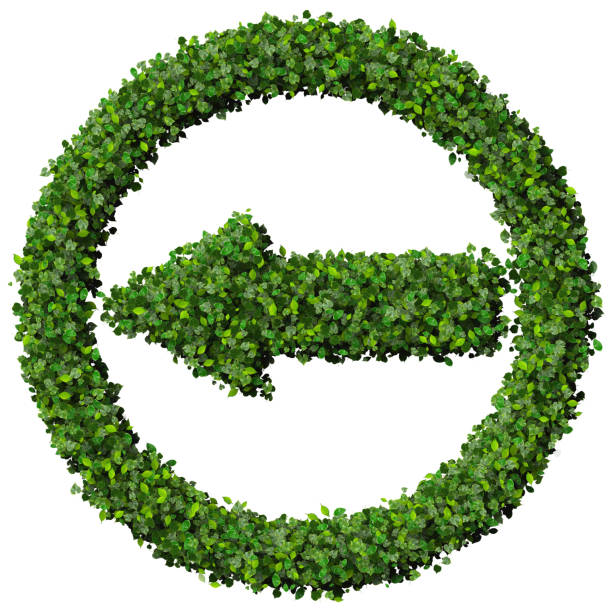 istock Arrow made from green leaves 472488184