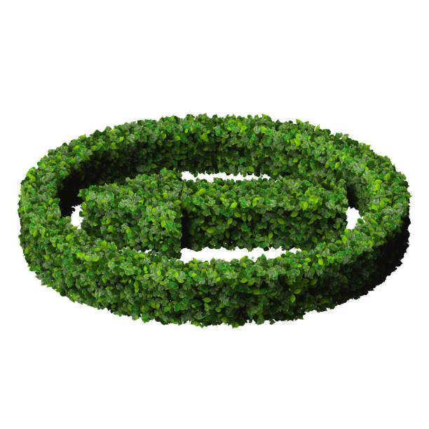 istock Arrow made from green leaves 472488188