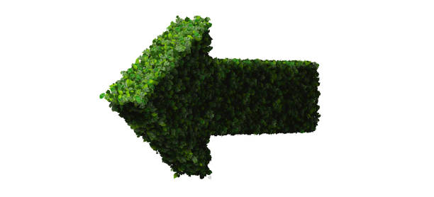 istock Arrow made from green leaves 472488206