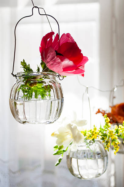 Three hanging glasses with fresh flowers