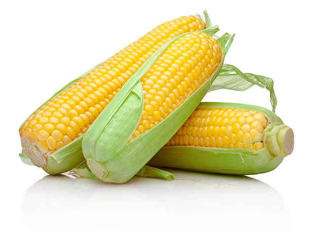 três milho de carolo isolado sobre um fundo branco - agriculture close up corn corn on the cob imagens e fotografias de stock