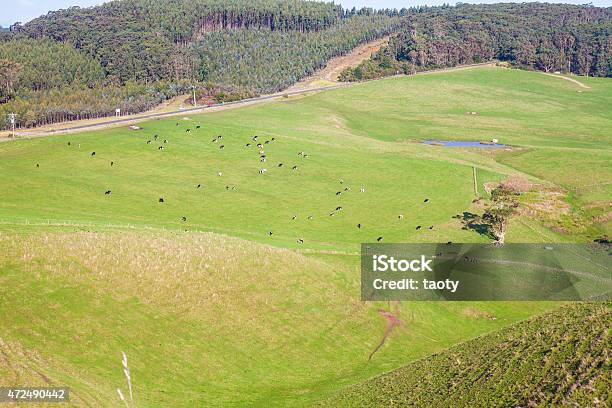 Meadows Stock Photo - Download Image Now - 2015, Agriculture, Animal