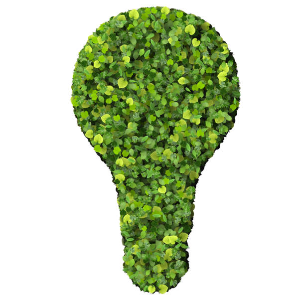 istock Eco bulb made from green leaves 472491660