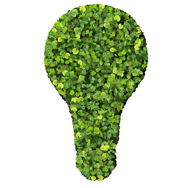 Eco bulb made from green leaves stock photo