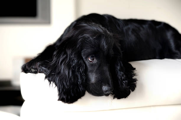 istock who are you looking to? 472492088