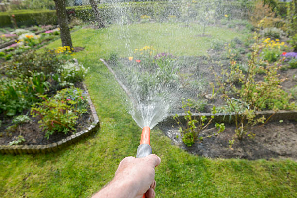A man spraying his garden with a hose Water for the garden stars in your eyes stock pictures, royalty-free photos & images