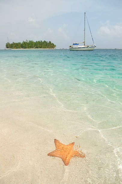 Starfish on the beach of Caribbean islands turquoise water, San Blas Islands, Panama