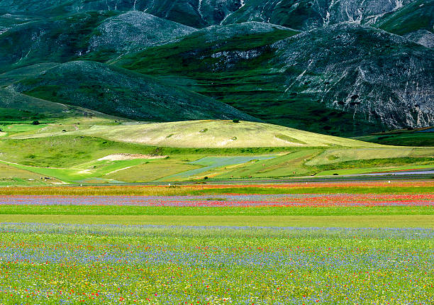 istock Piano Grande di Castelluccio (Italy) 472495464