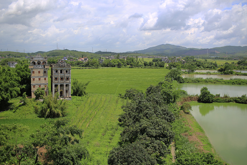 The green farmland at the village in Kaipang in Guangdong, China,