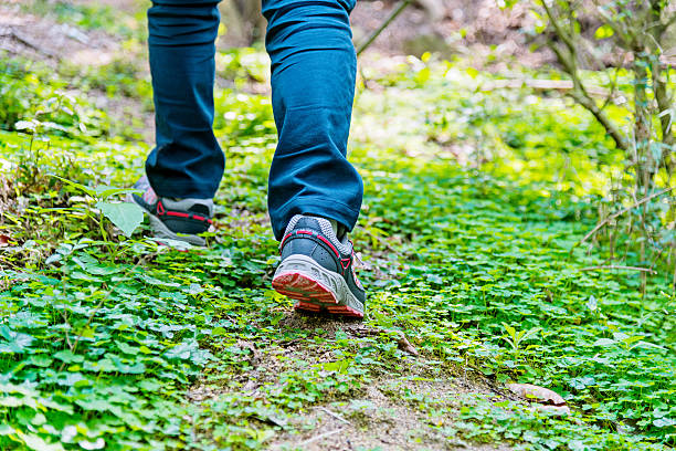 istock walking cross country 472496994